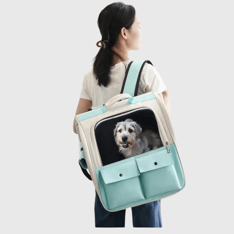 Sac à dos pour chien coloré femme