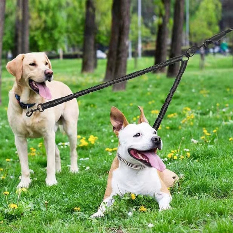 Laisse Double pour chien avec zero enchevetrement exemple sur deux chiens