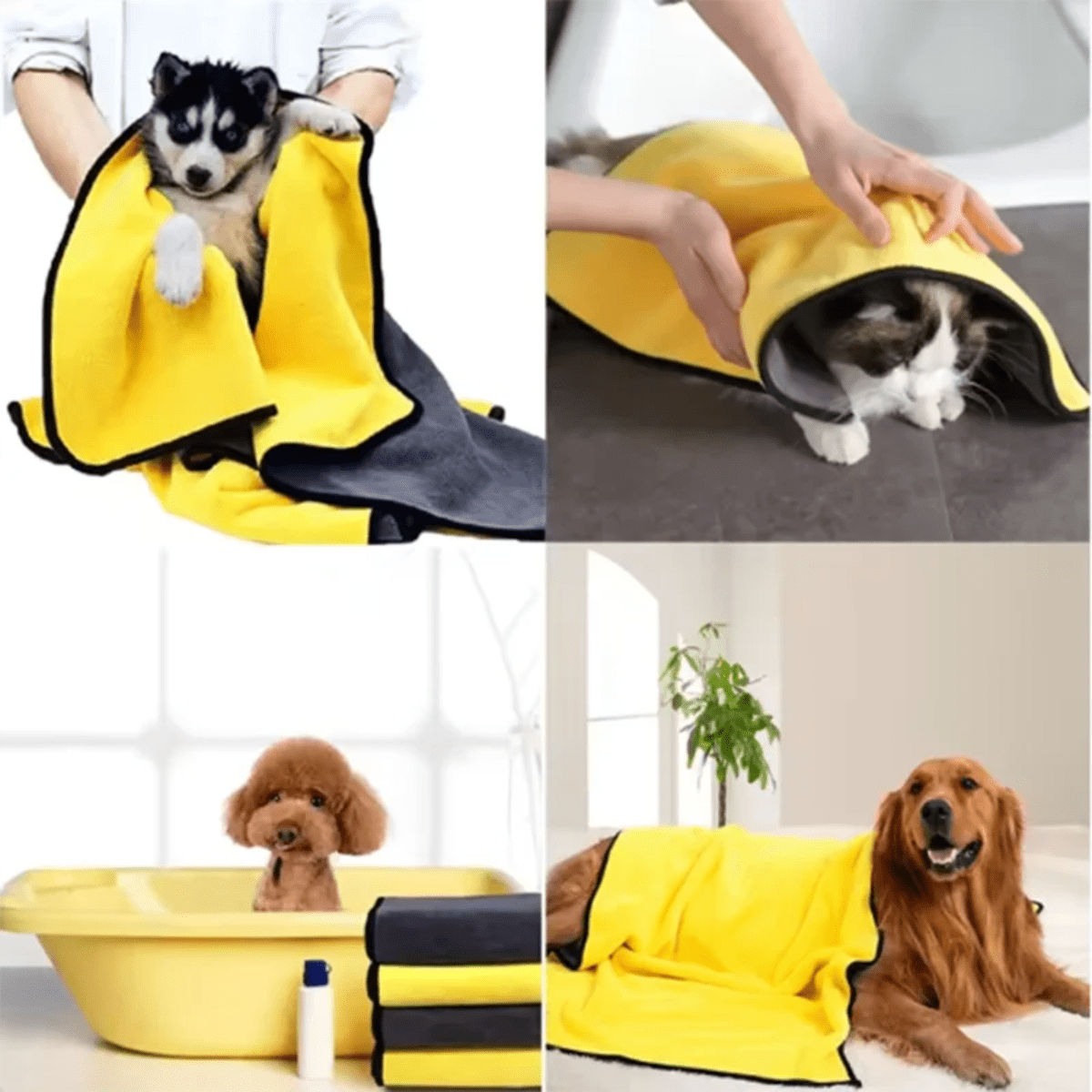 Serviette éponge pour chien exemple sur animaux
