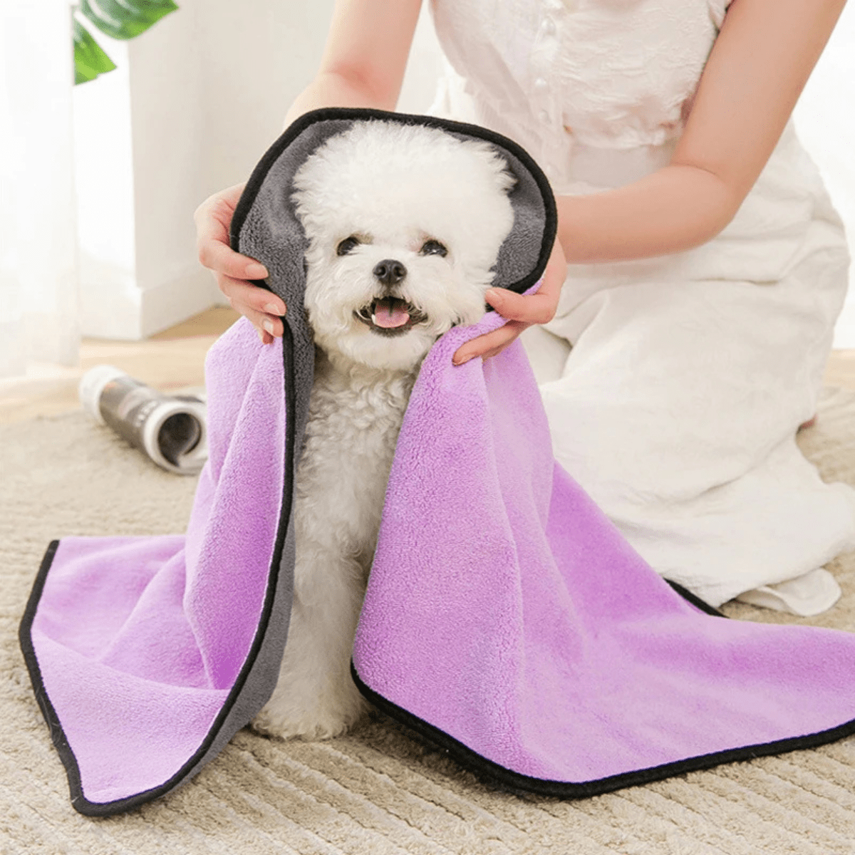 Serviette hyper absorbante pour chien caniche