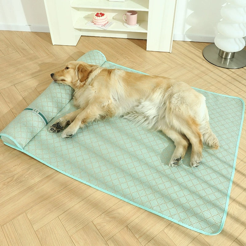 Tapis anti stress pour chien allonge sur le tapis