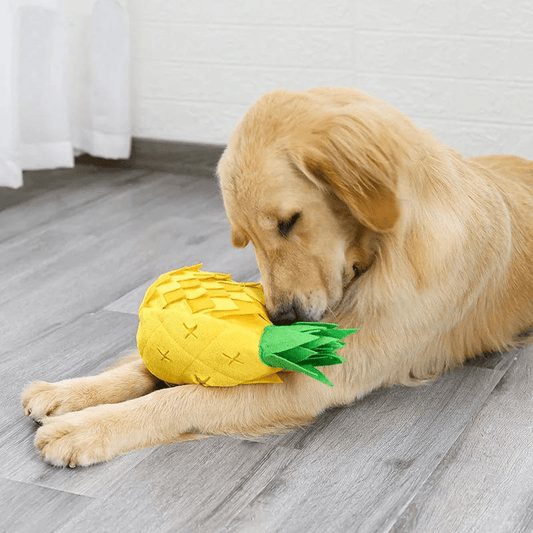 Tapis de fouille en forme d'Ananas chiot