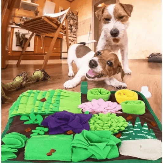 Tapis de fouille gros chien jack russel