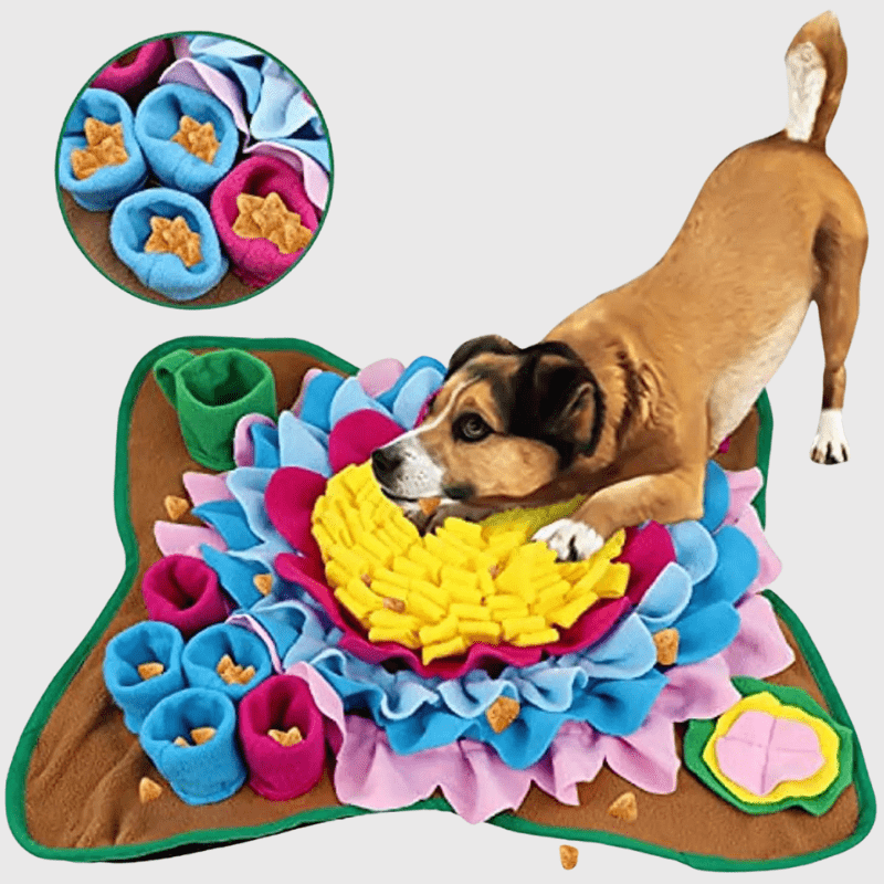 Tapis de fouille petit chien chiot