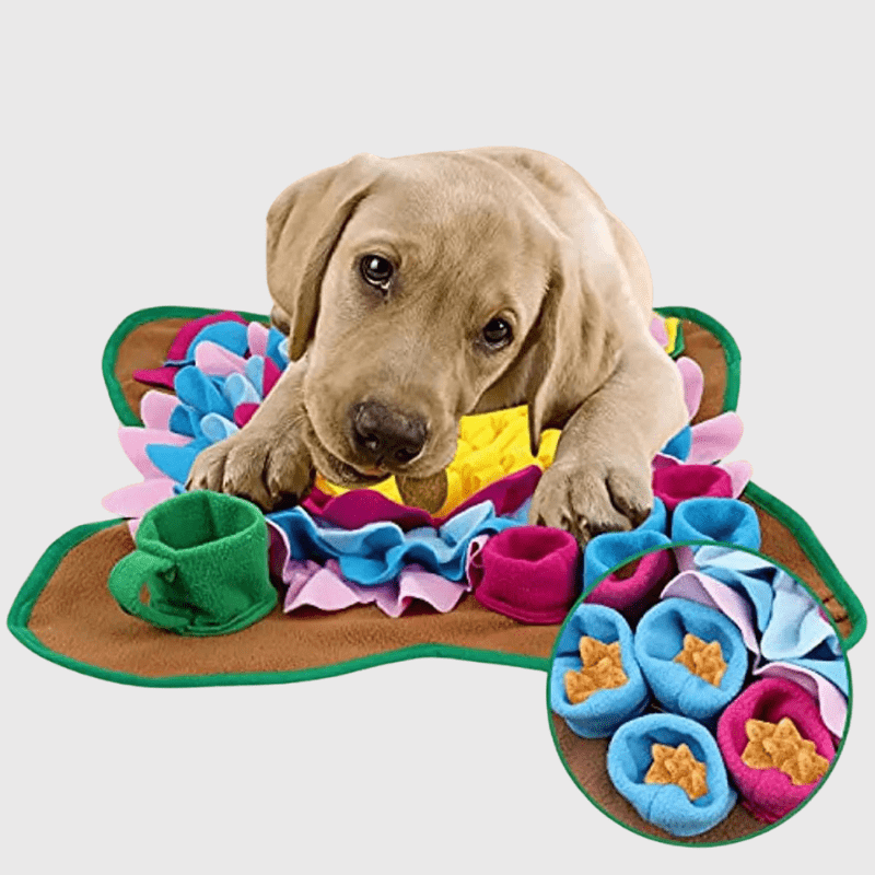 Tapis de fouille petit chien labrador