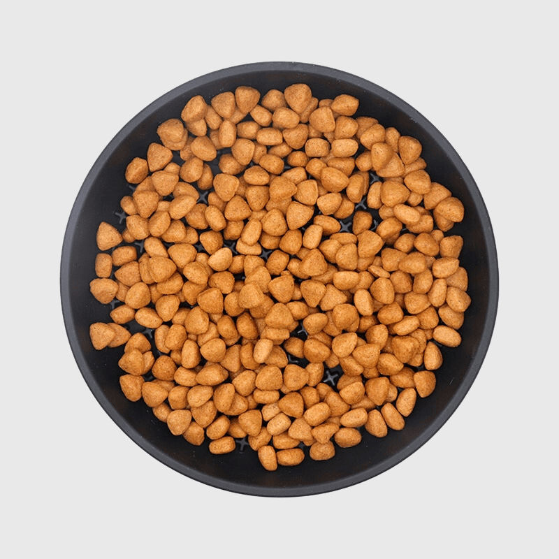 Tapis de lechage chien rond croquette dedans