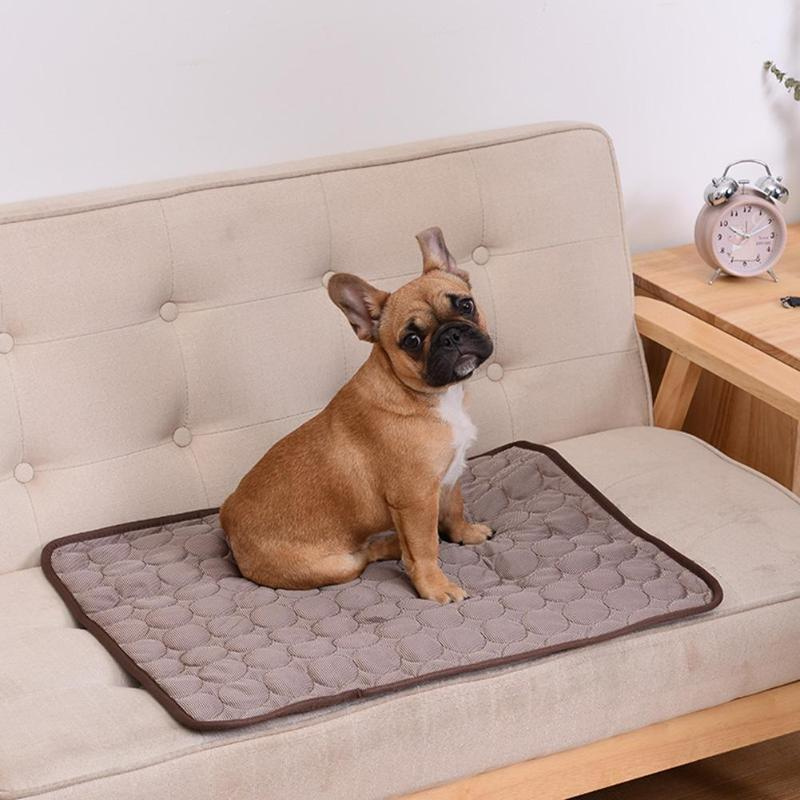 Tapis rafraichissant pour chien non toxique modele avec un chien dessus