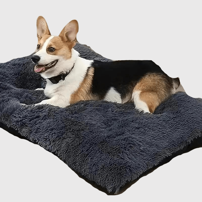 Tapis xxl pour chien corgi