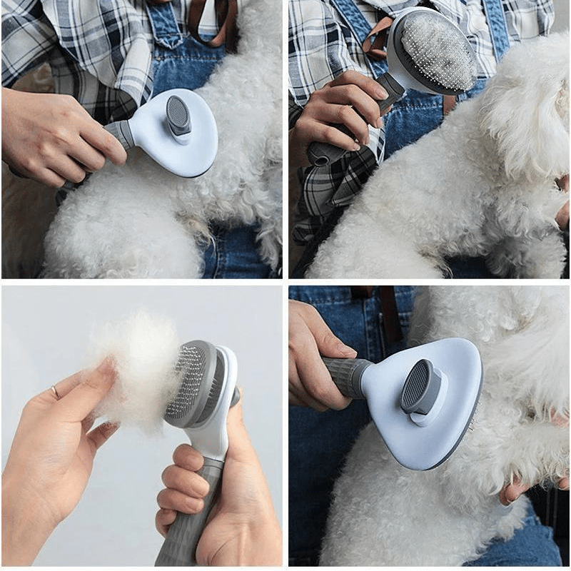 brosse pour toilettage chien exemple
