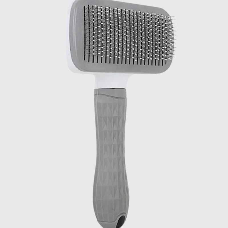 brosse pour toilettage chien grise