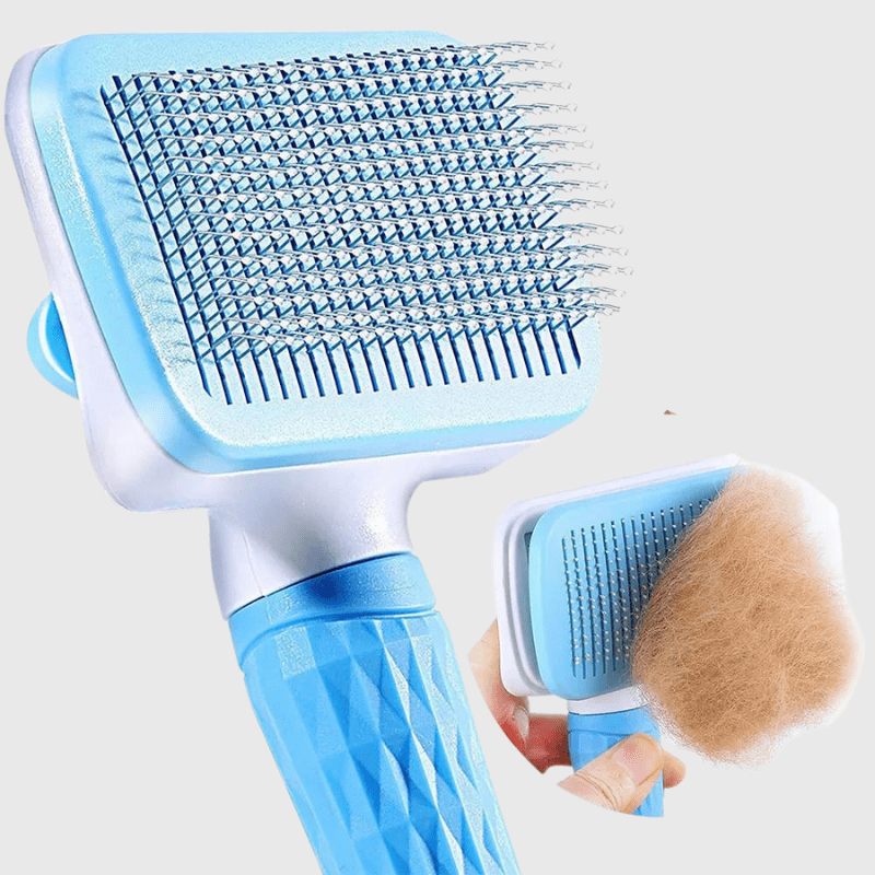 brosse pour toilettage chien zoom