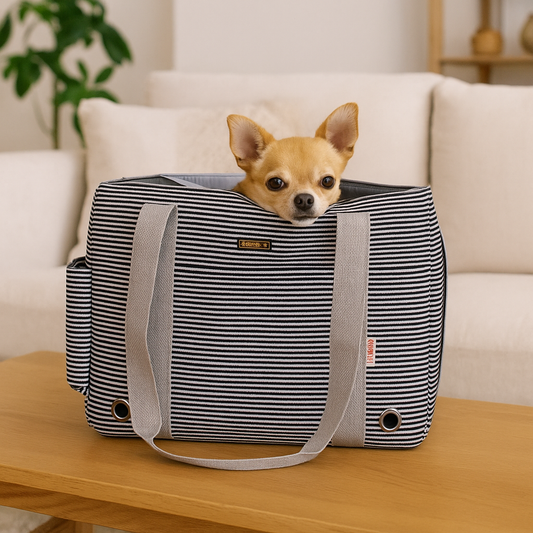 caisse de transport souple pour chien chihuahua