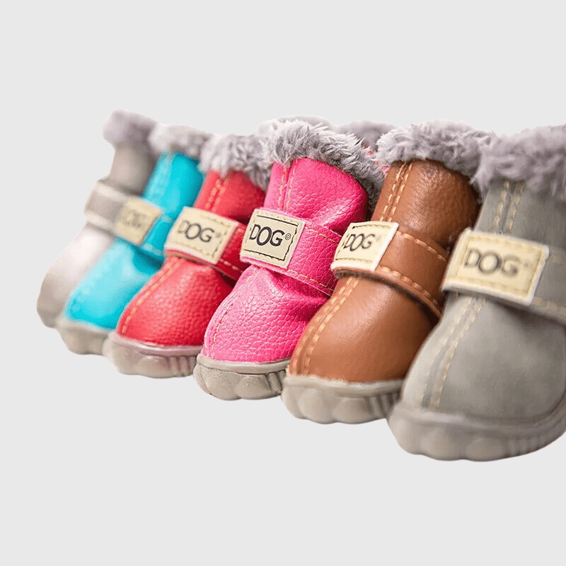 chaussette pour chien neige modele