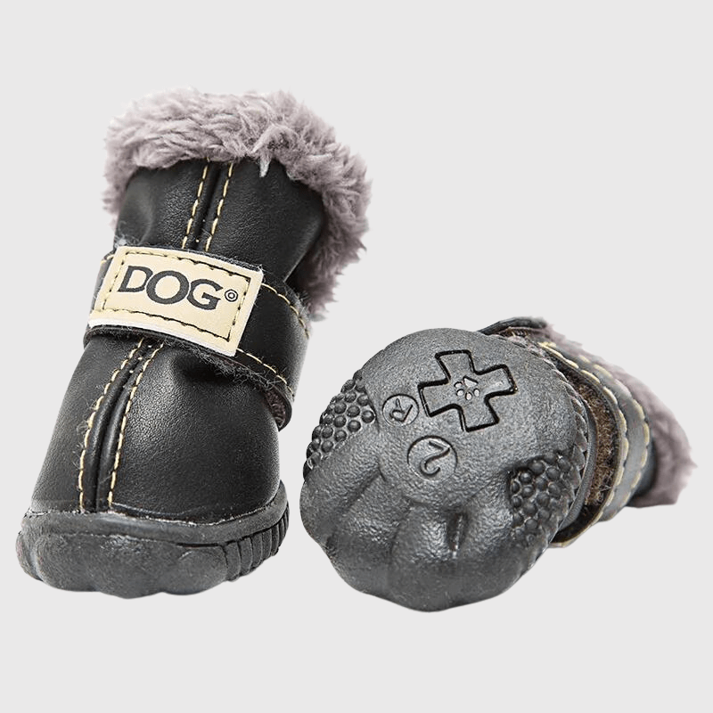 Chaussette neige pour chien sale