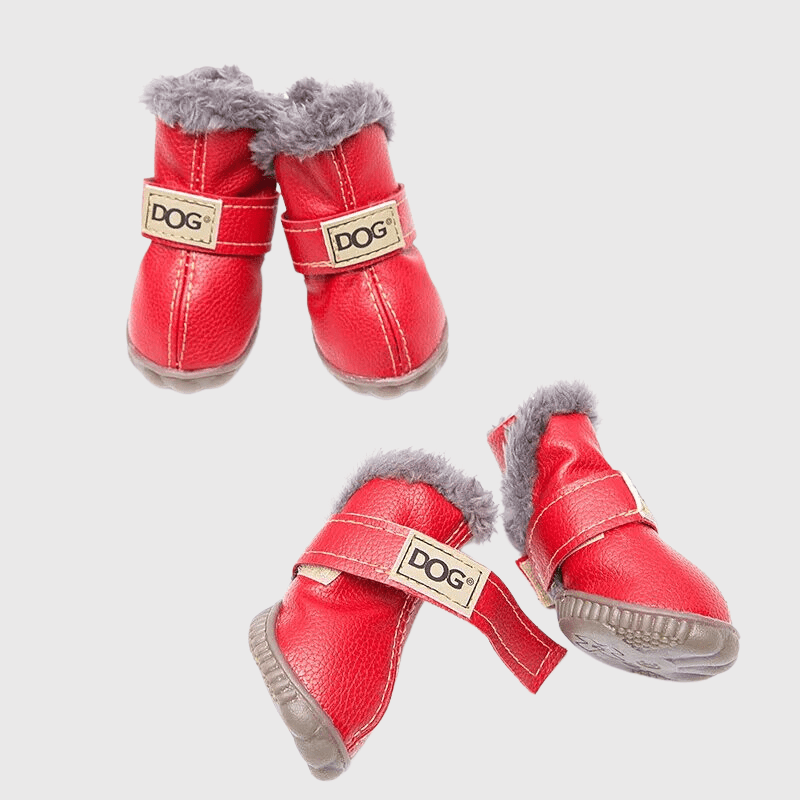 chaussette pour chien neige rouge