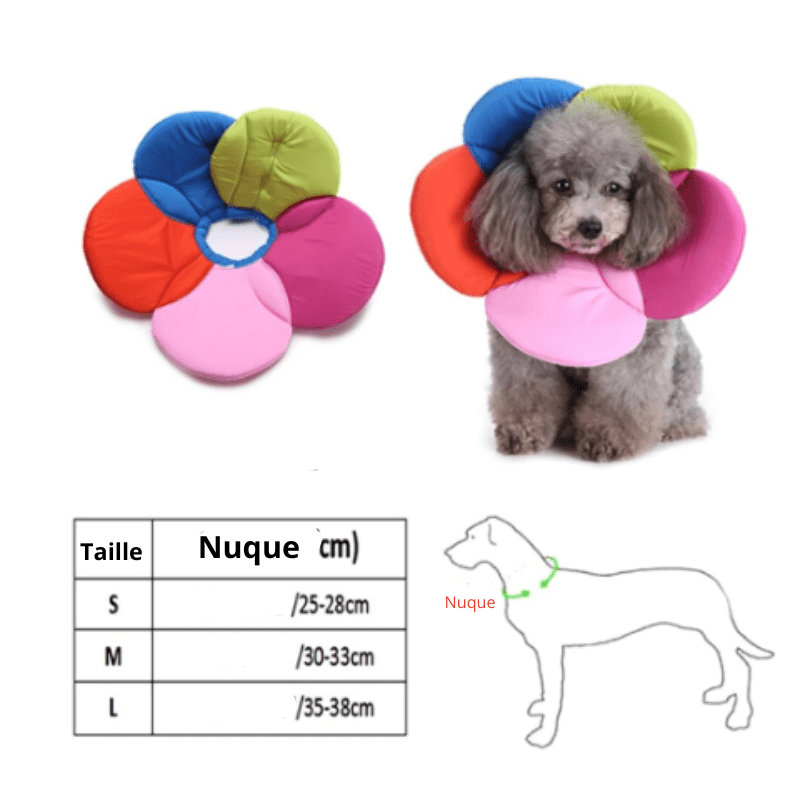Collerette pour chien en forme de fleur verte taille