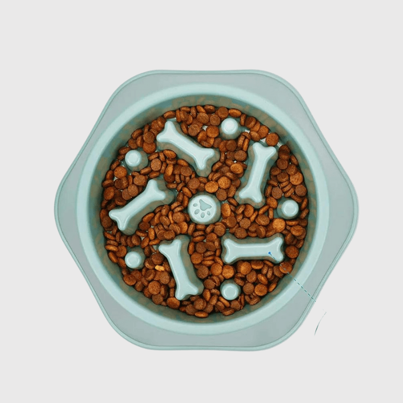 gamelle anti glouton pour chien croquette