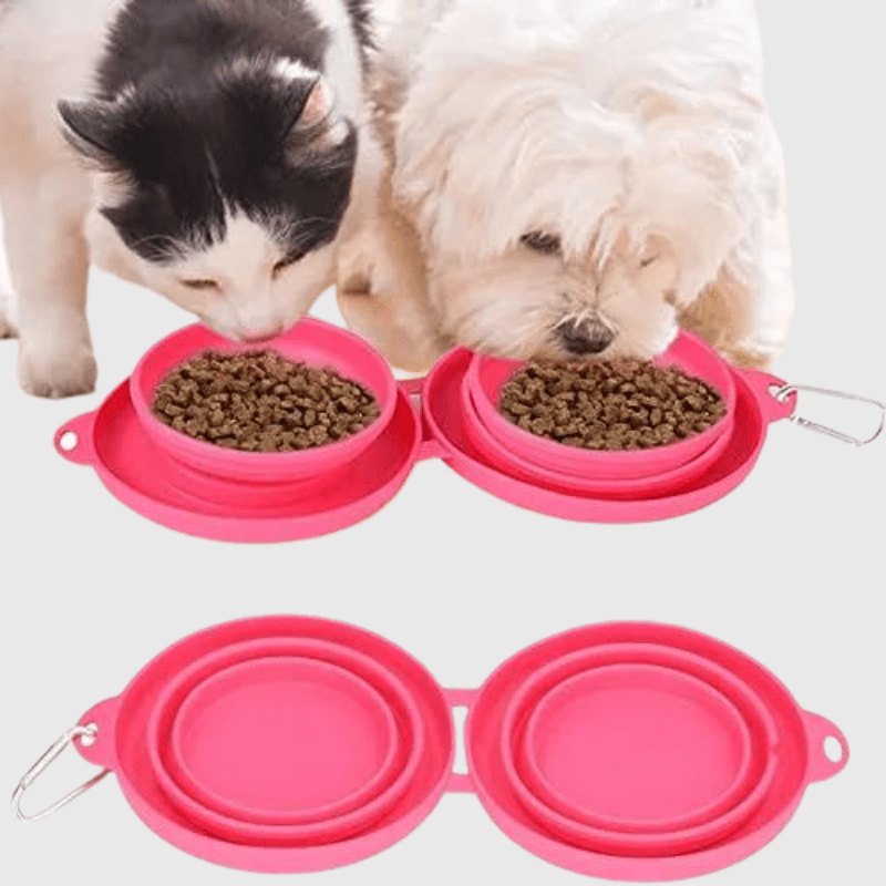 gamelle de voyage pour chien croquette