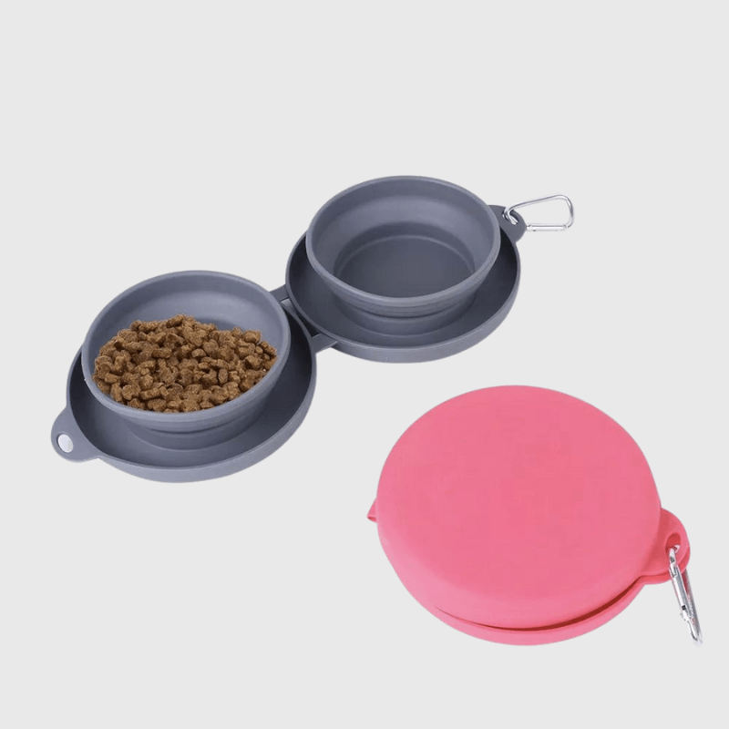 gamelle de voyage pour chien modele