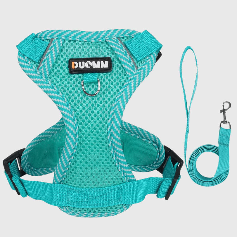 harnais ajustable pour chien bleu