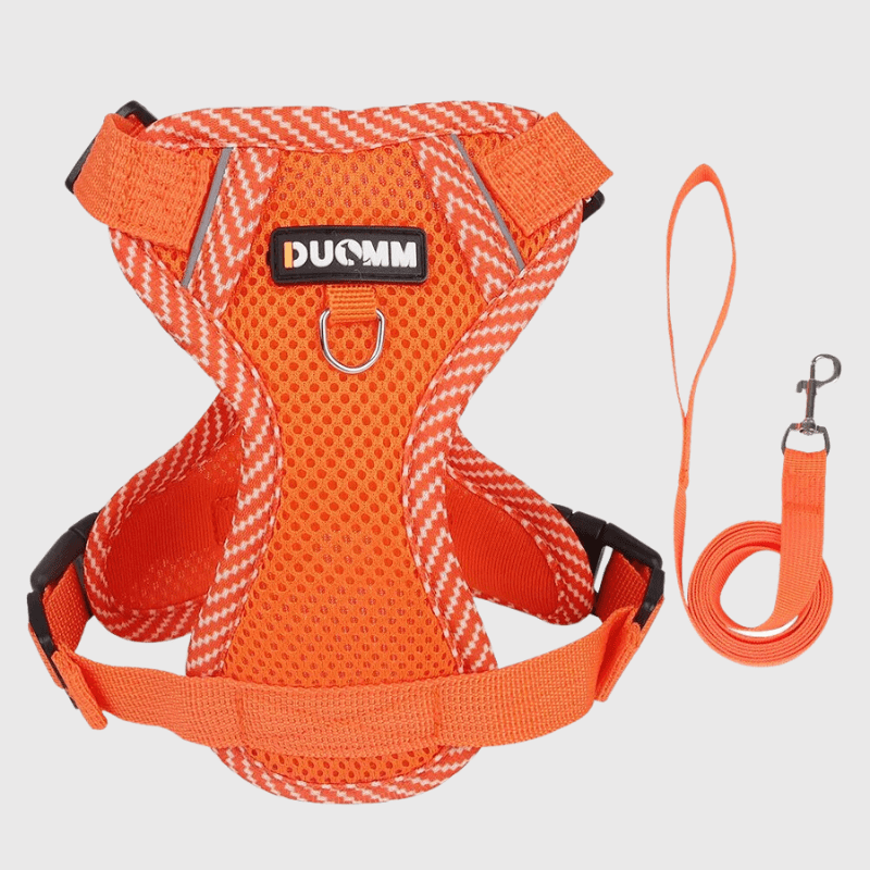 harnais ajustable pour chien orange