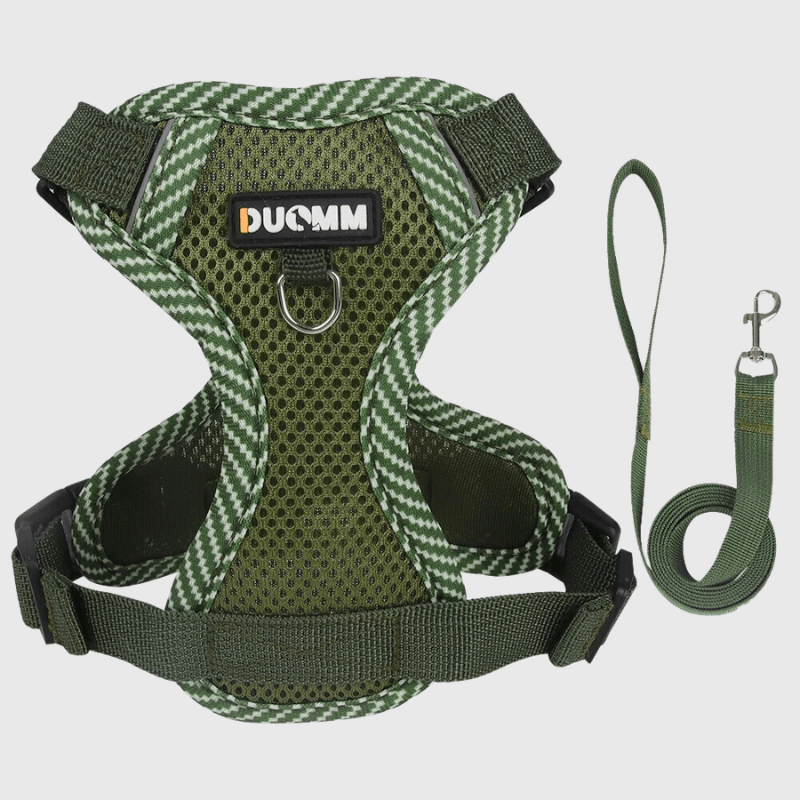 harnais ajustable pour chien vert
