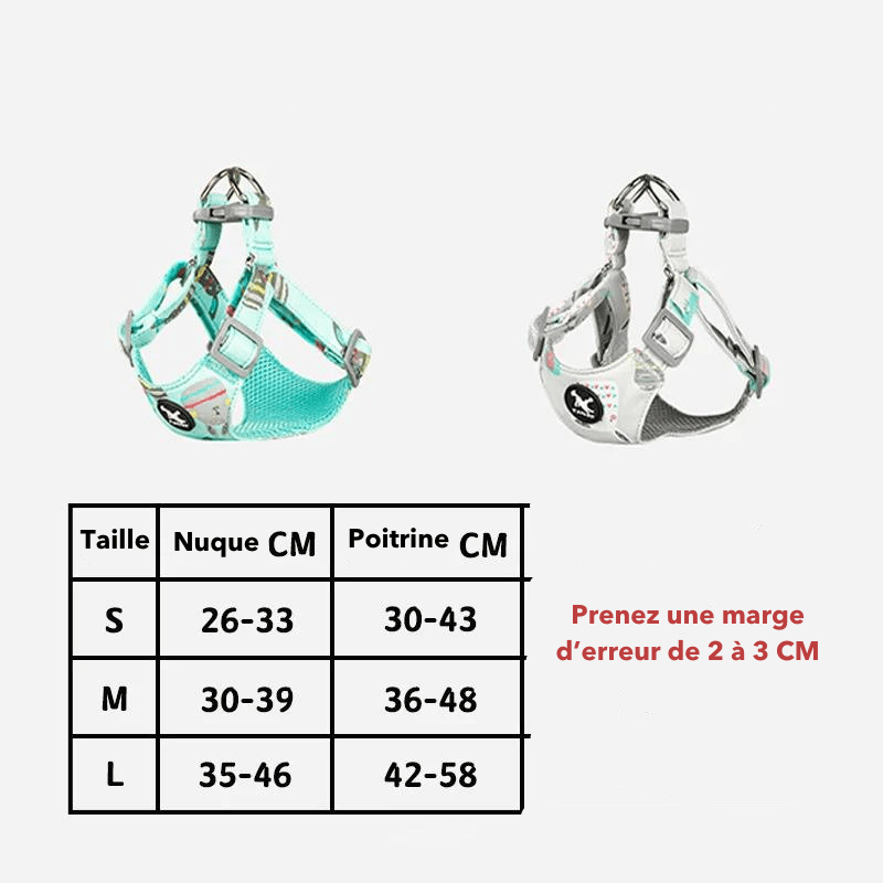 harnais chien sans passer la tête taille