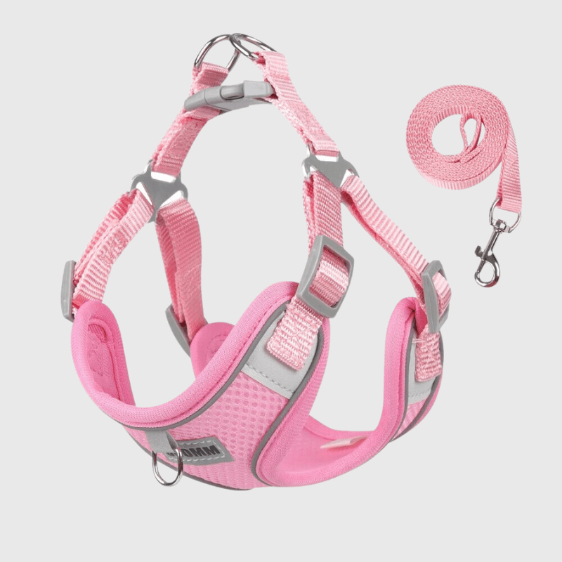 harnais confort chien rose