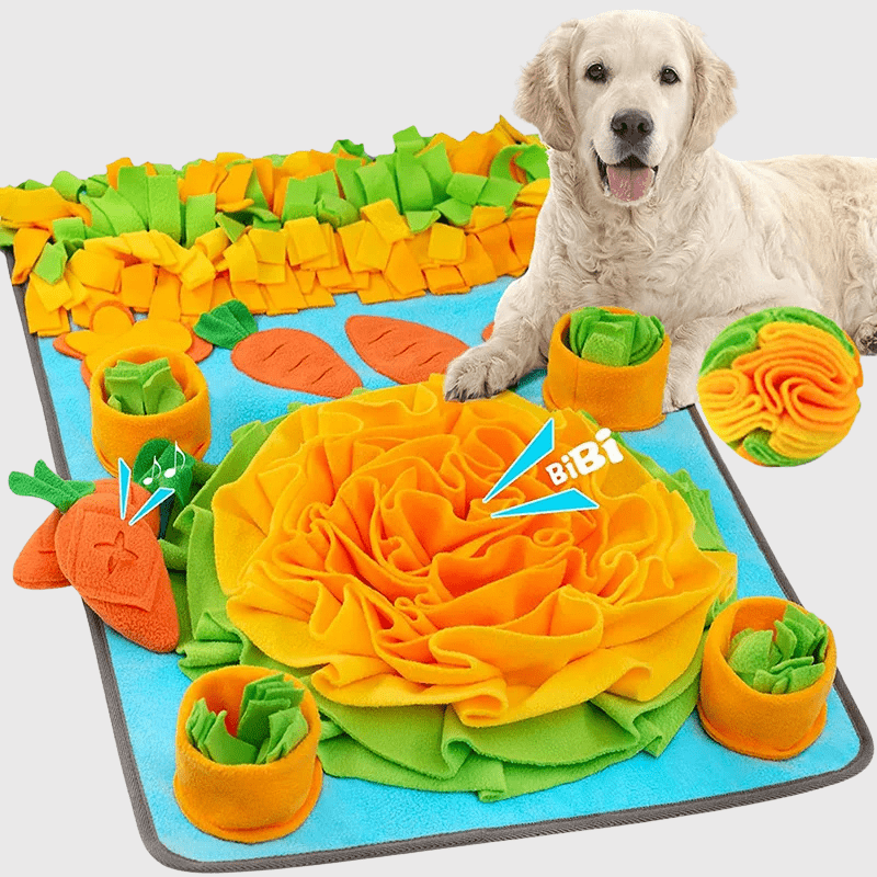 kit tapis de fouille chien