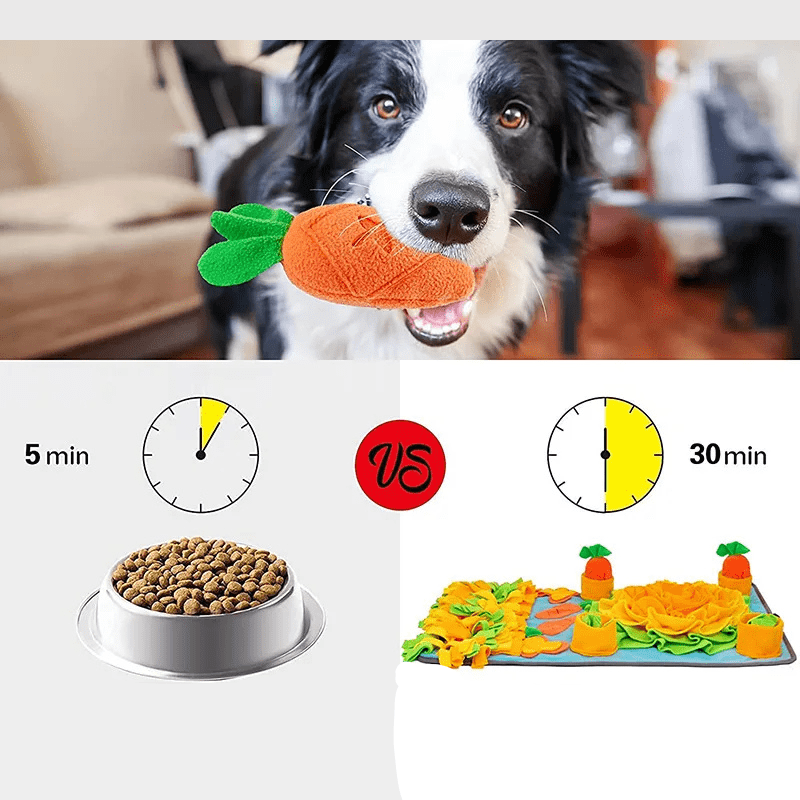kit tapis de fouille chien durée de repas