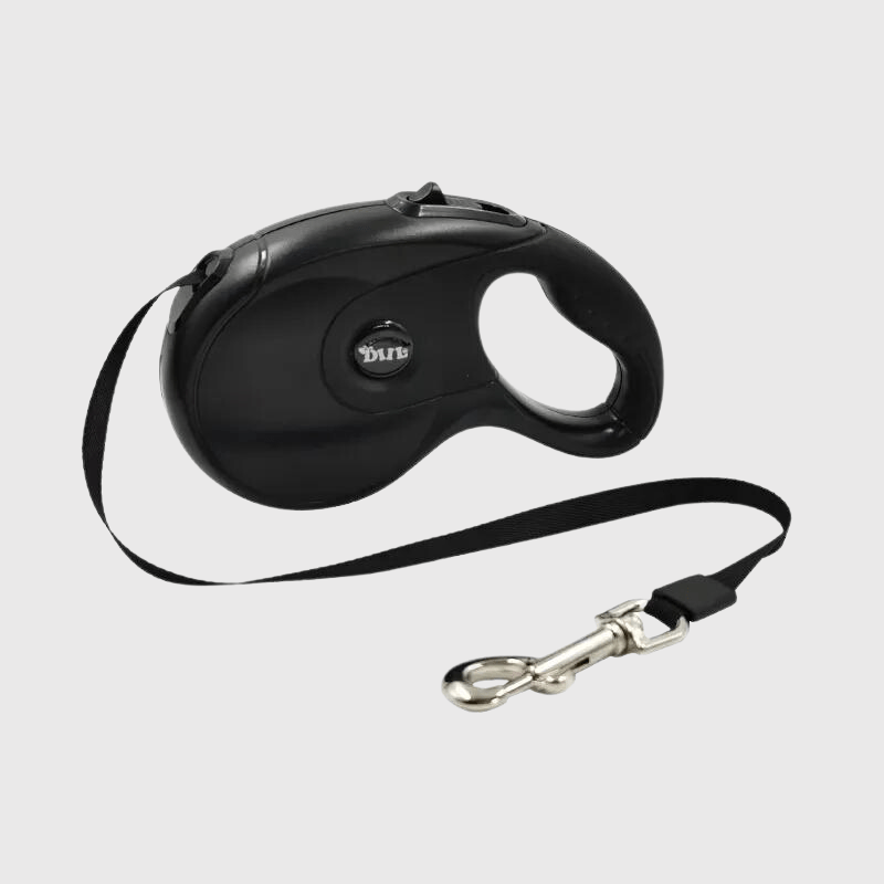 laisse rétractable chien detendu