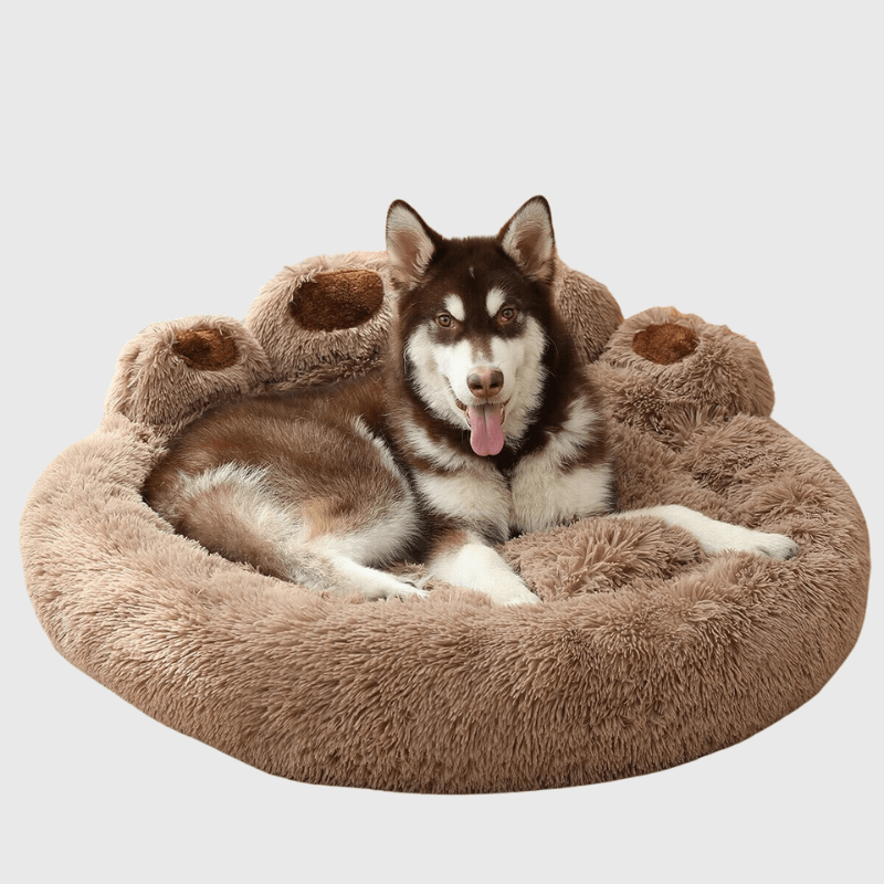 lit douillet pour chien chiot