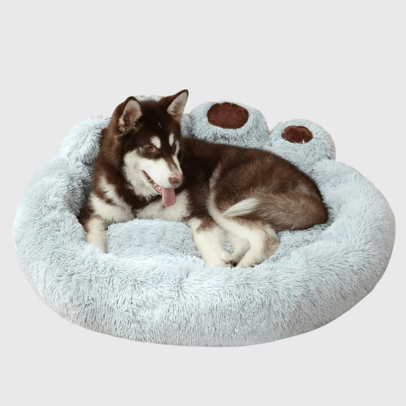 lit douillet pour chien husky