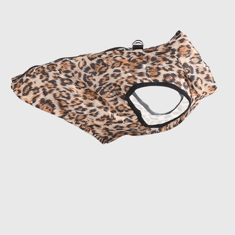 manteau de pluie pour chien leopard