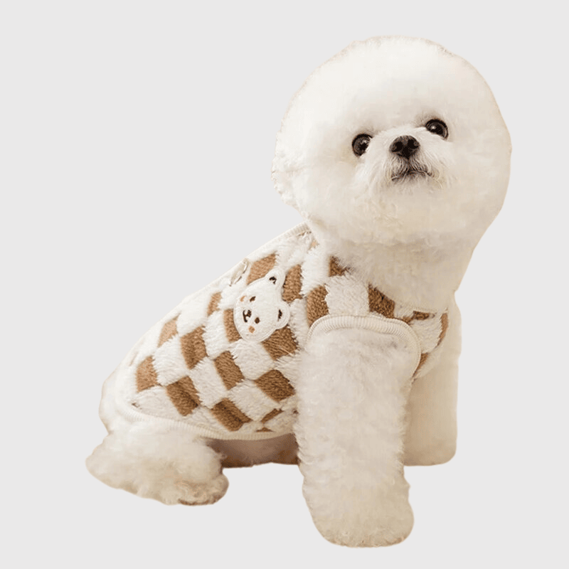 pull chaud pour chien modele canin