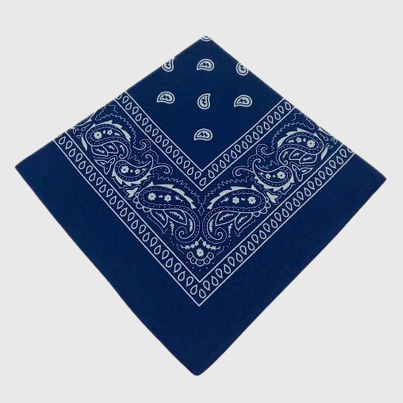 Bandana chien personnalise bleu