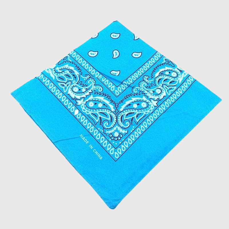 Bandana chien personnalise bleu ciel