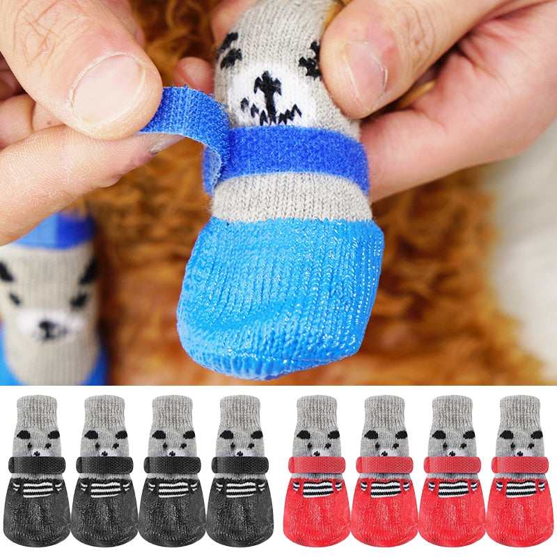 Chaussette impermeable pour chien demo chien
