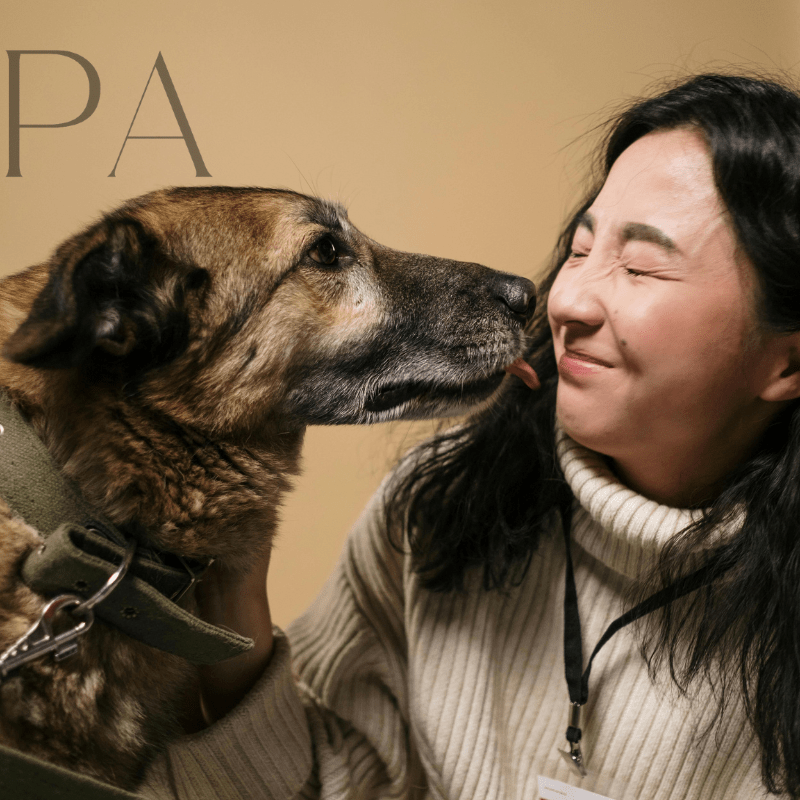 chien lèche sa maitresse avec sa langue 