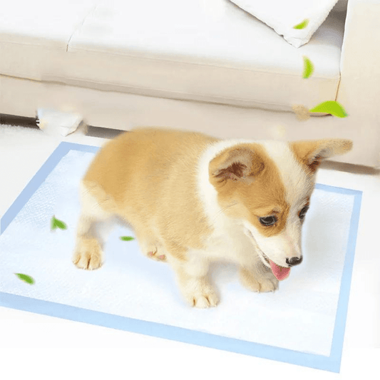 Alese proprete pour chien exemple chiot