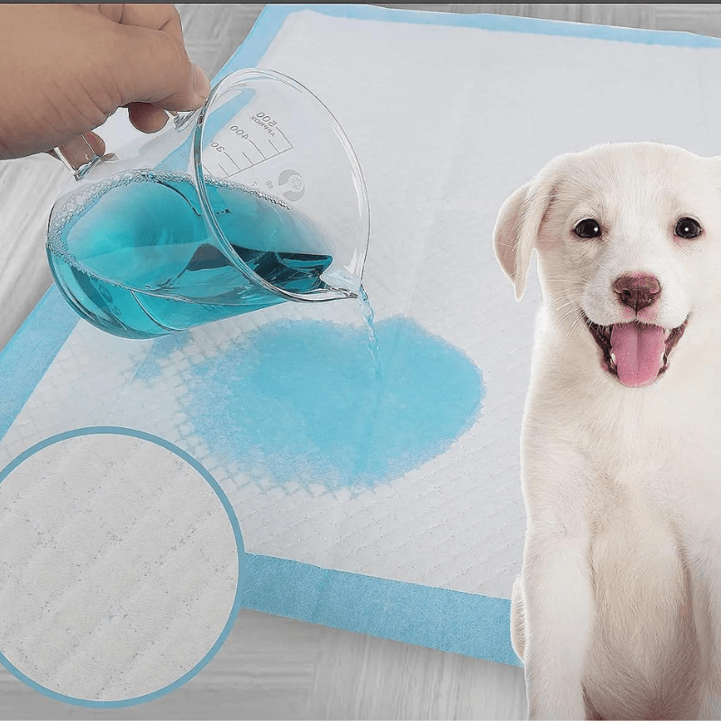 Aleses jetables pour chiens​