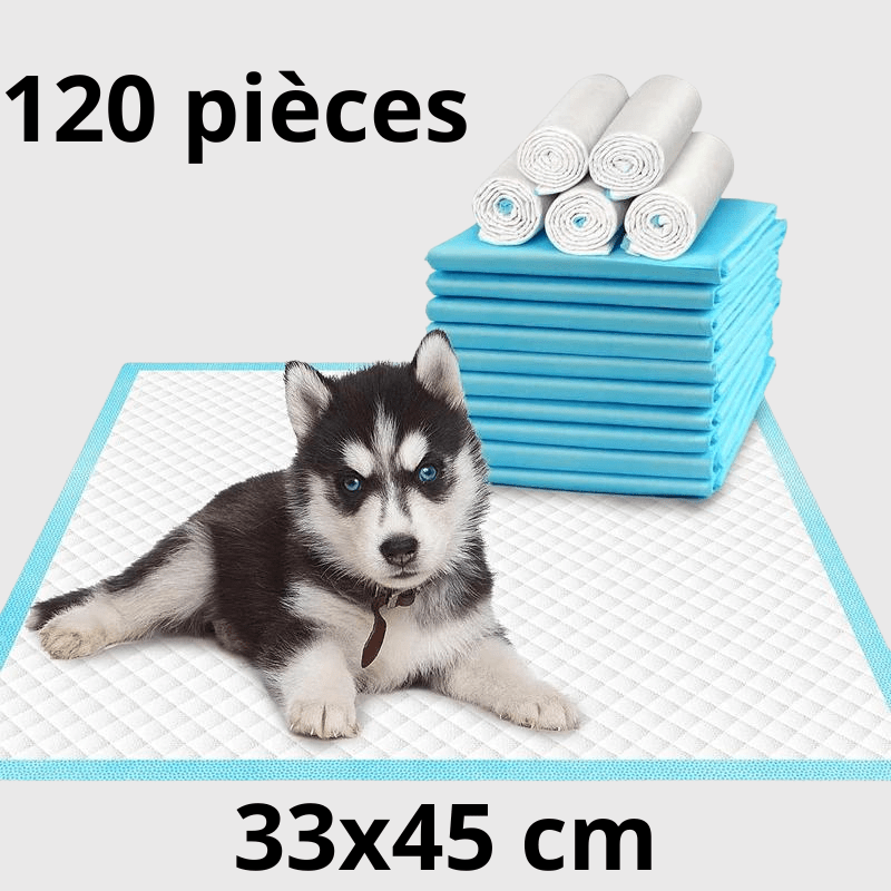 Aleses jetables pour chiens​ 120 pcs