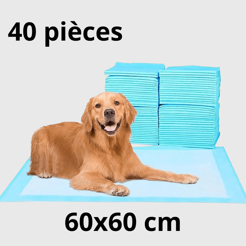 Aleses jetables pour chiens​ 40 pcs