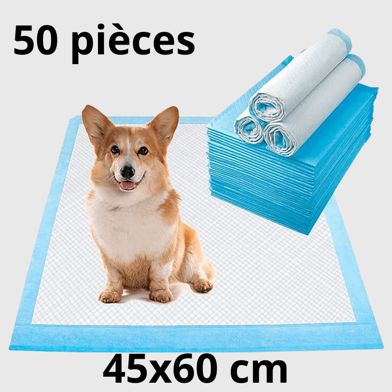 Aleses jetables pour chiens​ 50 pcs