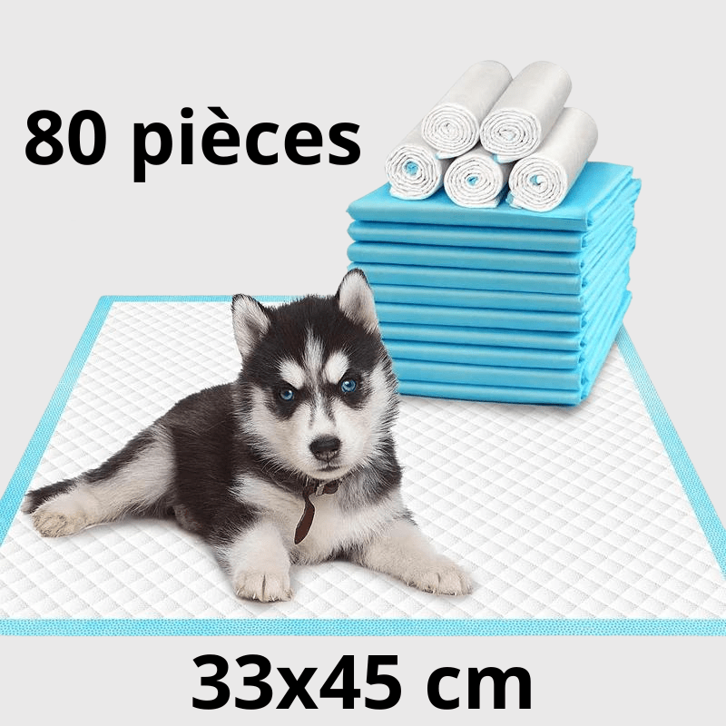 Aleses jetables pour chiens​ 80 pcs