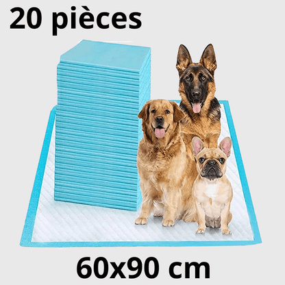 Aleses jetables pour chiens​ 20 pcs