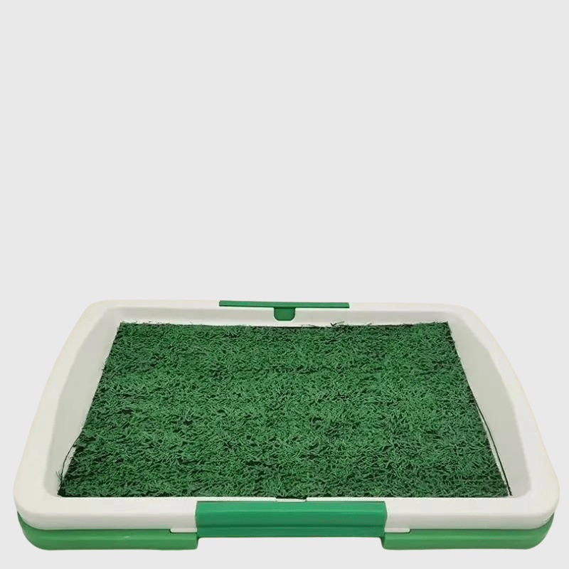 Une propreté impeccable pour votre compagnon à quatre pattes