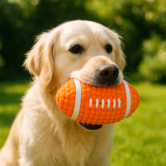 Balle rebondissante football americain pour chien golden dans un parc 
