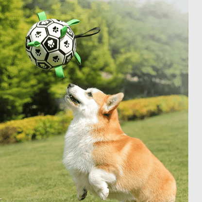 Ballon avec anse pour chien corgi