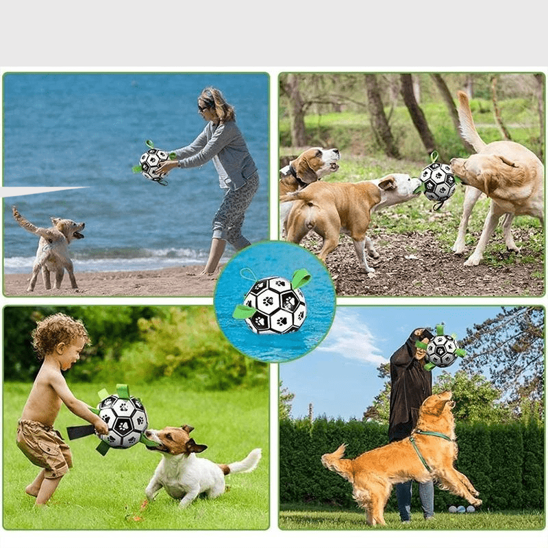 Ballon avec anse pour chien demo